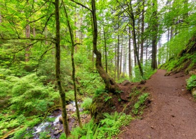 Amérique USA Portland sentier Horsetail Falls Columbia River