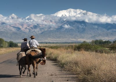 Argentine chevaux route Andes montagnes @TAMAT