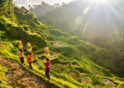 Asie Bali Ubud rizières femmes