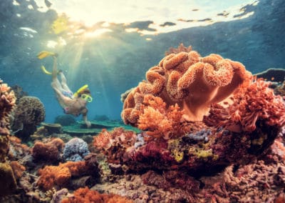 Asie Bali plongée récif de corail femme