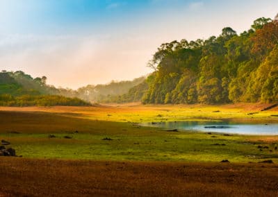 Asie Inde paysage forêt sauvage lac