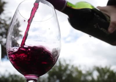 Espagne vin bio verre Bodegas Lezaun©OTNavarre