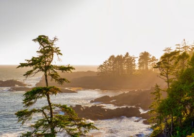 Canada île de Vancouver Ucluelet