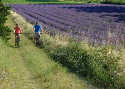 France ViaRhona couple vélo champ de lavande © Jean-Claude Praire
