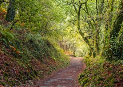 Espagne Galice chemin de St Jacques
