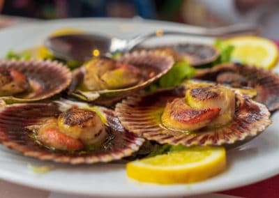 Espagne Galice Coquilles Saint-Jacques