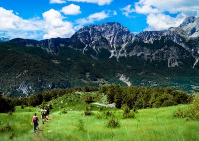 Albanie montagne randonnée champ