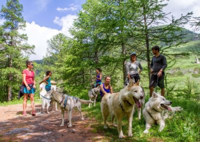 France Queyras canirando activités