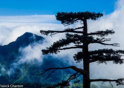 France Corse Région du Niolo montagnes