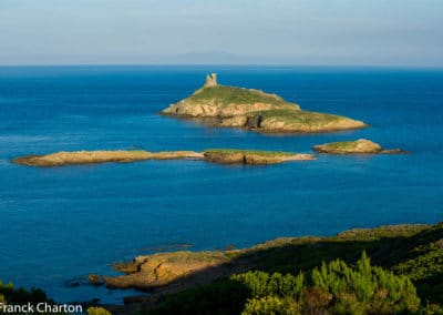 France Corse Cap Corse archipel des Finocchiarola
