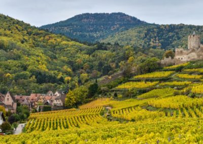 France Alsace vignes village @LP-randonnevloalsacevignes