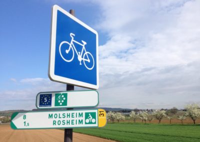 France Alsace panneau vélo @LP-randonnevloroutedesvinsalsace