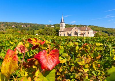 France Bourgogne Givry vignoble raisin