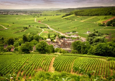 France Bourgogne vignoble collines