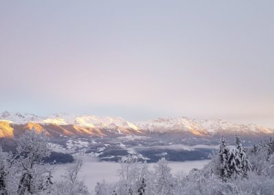 Montagne neige arbres