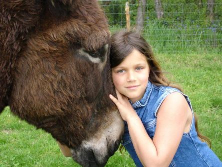 France Chemin de Stevenson fillette et âne Le chemin de Stevenson en famille avec un âne