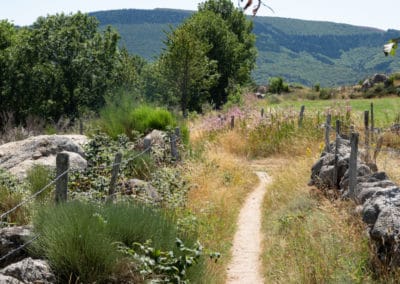 France Chemin de Stevenson trail