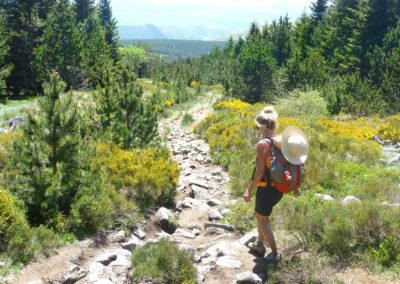 France Chemin de Stevenson randonnée