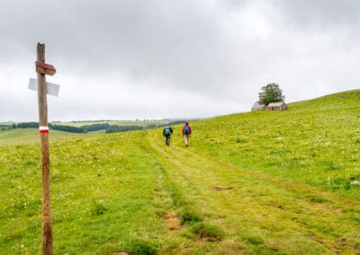 France Compostelle randonnées pèlerins Santiago