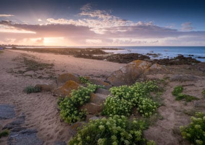 France Île d'Yeu coucher de soleil plage