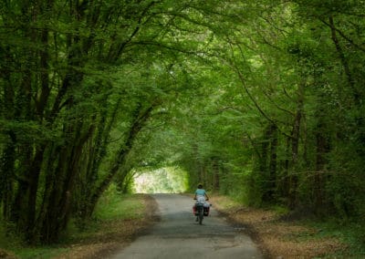 France Loire vélo forêt