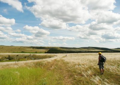 France Occitanie chemin Saint-Guilhem-le-Désert champs