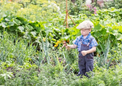 France permaculture ferme carottes garçon