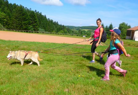 France canirando chien Une cani rando, activité pour un week-end en famille dans le Pilat