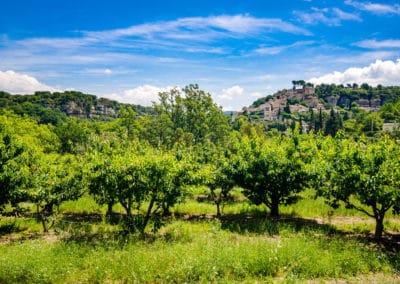 France Provence Vaucluse Venasque