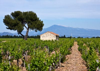 France Provence Mont Ventoux champ cabanon