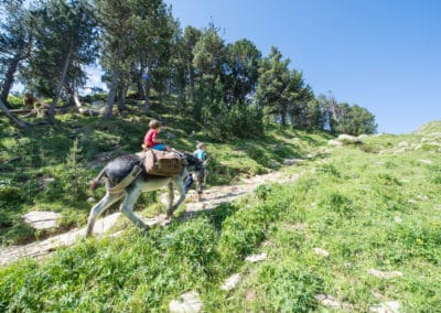 France randonnée âne enfant