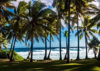 France Réunion palmiers plage