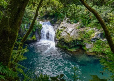 France Réunion cascade forêt