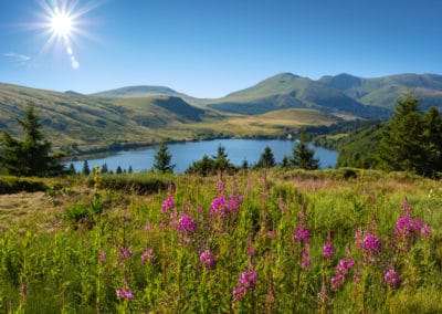 France Sancy Lac Guéry soleil
