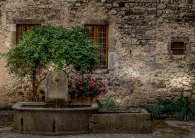 France Drôme Châtillon plantes maison en pierre