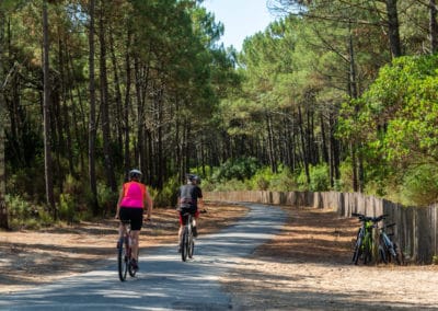 France Bassin Arcachon chemin vélo Landes forêt