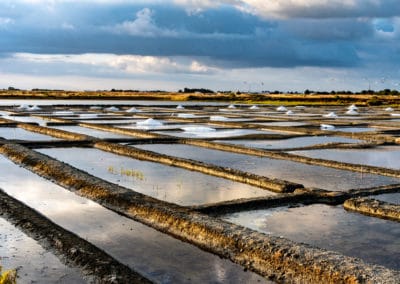 France île de Noirmoutier marais salants