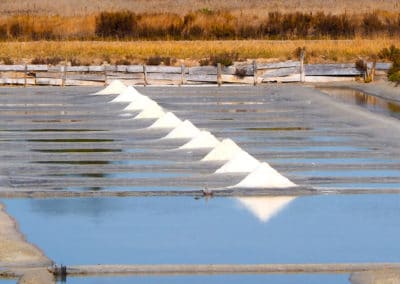 France Vélodyssée île de Noirmoutier marais salants