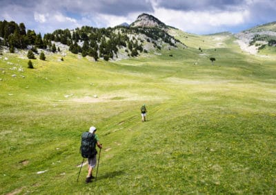 France Vercors randonnée verdure