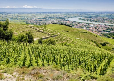 France ViaRhôna Tain-l'Hermitage panorama