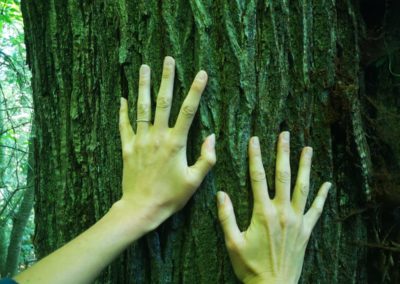 France Pilat arbre mains