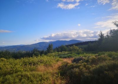 France Pilat paysage vue