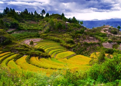 Indonésie Sumatra paysage