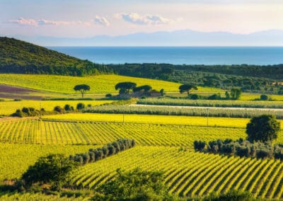 Italie Chianti Bolgheri vin vue mer