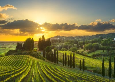 Italie Toscane soleil vignes