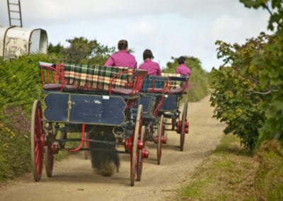 Jersey Guernesey calèches ©Chris-George-Photography
