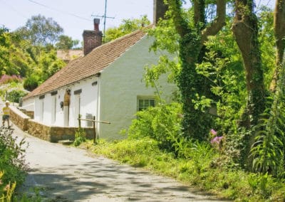 Jersey Guernesey maison végétation