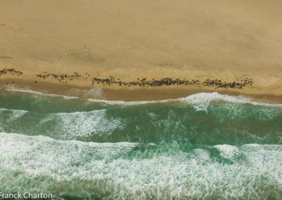 Namibie Walvis Bay plage sable