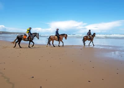 Portugal balade à cheval Carapateira plage Algarve