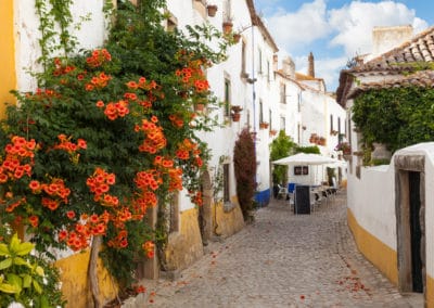 Portugal Obidos ville médiévale fortifiée ruelle fleurs